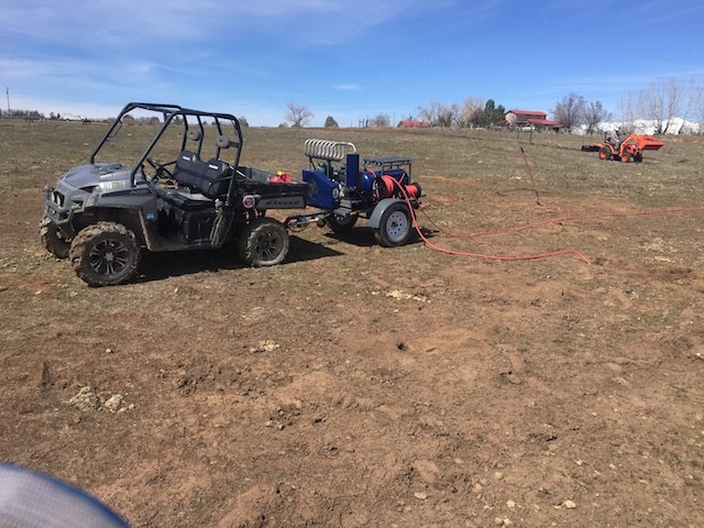 Prairie Dog Removal