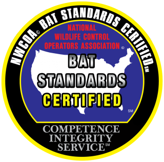 bat standards certification med e1559063206483
