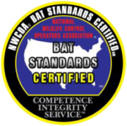 Bat Standard e1603221765809