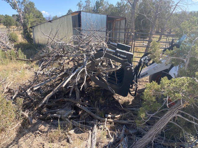 Lot Clearing Lot Clearing